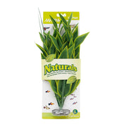 *MARINA Plante Dracéna Verte 18-19