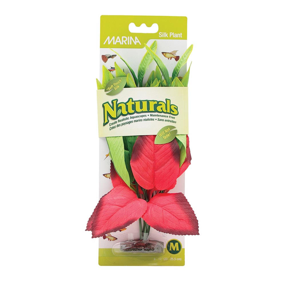 *MARINA Plante Pontédérie Cordée Rouges & Vertes 9-10", M pour Aquarium