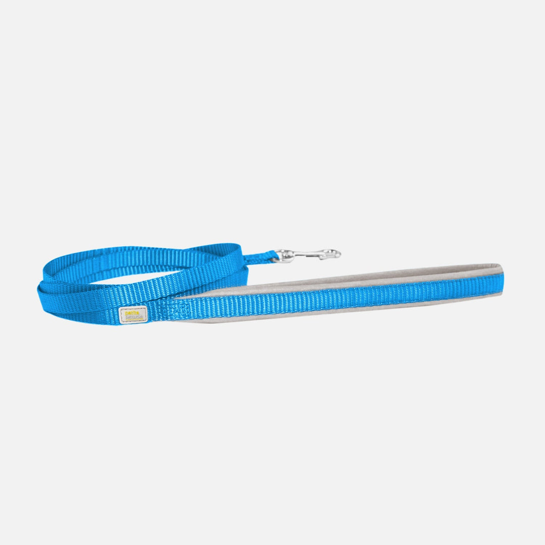 PETITE PISTACHE Laisse Réfléchissante Bleu