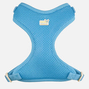 PETITE PISTACHE Harnais Filet XXXS Bleu Royal