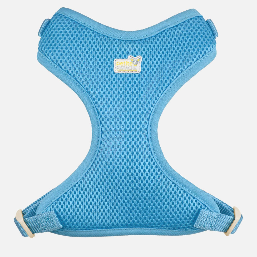 PETITE PISTACHE Harnais Filet XS Bleu Royal