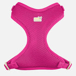 Voir l’image dans la galerie, PETITE PISTACHE Harnais Filet XXS Fuschia
