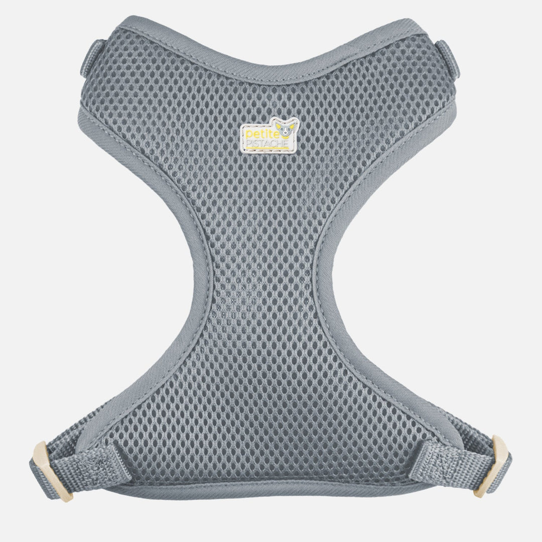 PETITE PISTACHE Harnais Filet XXS Gris