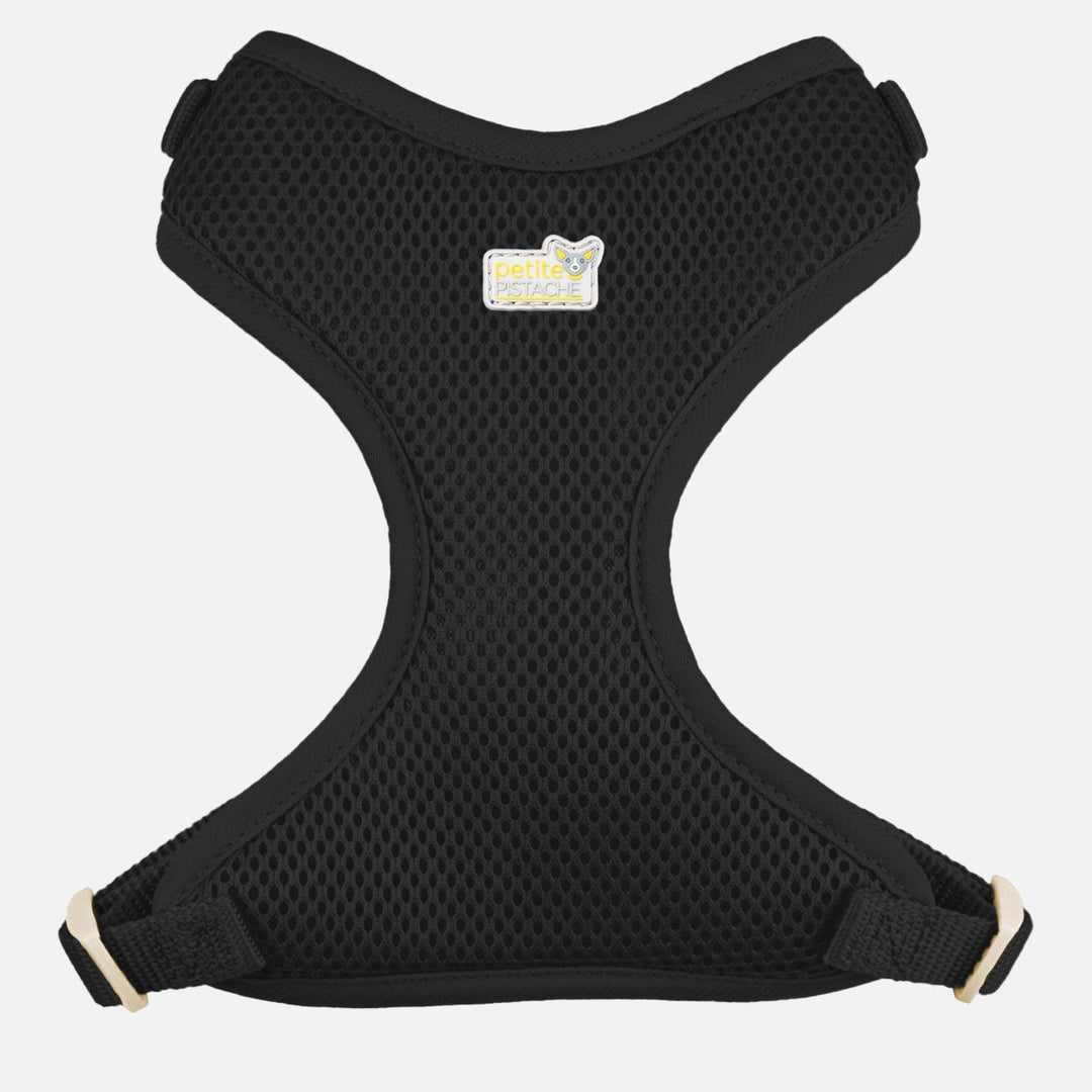 PETITE PISTACHE Harnais Filet XXS Noir