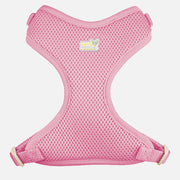 PETITE PISTACHE Harnais Filet XXS Rose