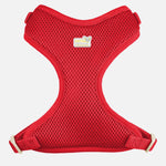 Voir l’image dans la galerie, PETITE PISTACHE Harnais Filet XXS Rouge