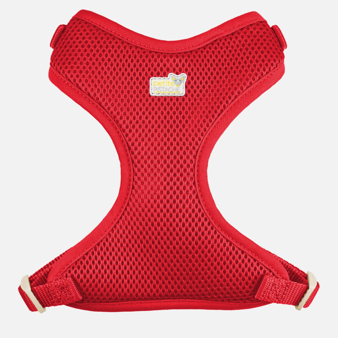 PETITE PISTACHE Harnais Filet XS Rouge