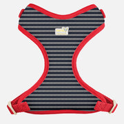 PETITE PISTACHE Harnais Filet Motif Bleu/Rayé Gris XXXS