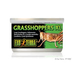 Voir l’image dans la galerie, Exo Terra - Sauterelles en Conserve - Nourriture pour Reptiles