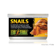 Exo Terra - Escargots en Conserve - Nourriture pour Reptiles
