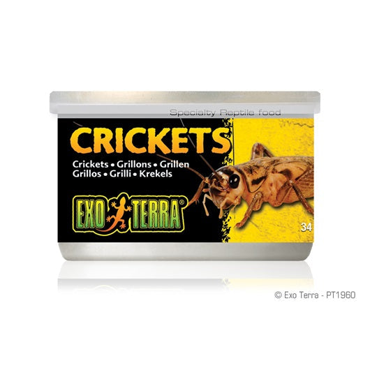 Exo Terra - Grillons en Conserve - Nourriture pour Reptiles