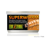 Exo Terra - Vers de Farine en Conserve - Nourriture pour Reptiles