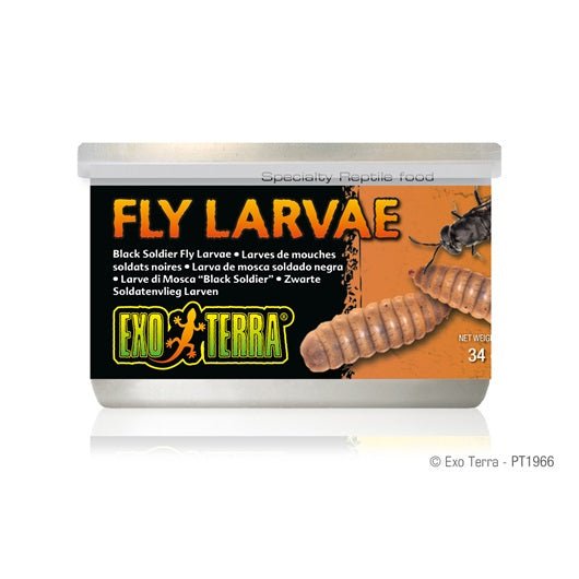 Exo Terra - Larves de Mouches Soldats Noires en Conserve - Nourriture pour Reptiles