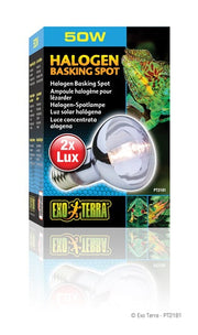 Exo Terra - Ampoule Halogène Sun Glo - Éclairage pour Terrariums