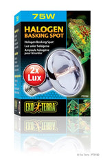 Voir l’image dans la galerie, *EXO TERRA Ampoule Halogène 75W pour Reptiles