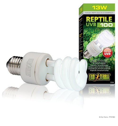 Exo Terra - Ampoule Fluocompacte Reptile UVB100 - Éclairage pour Terrariums