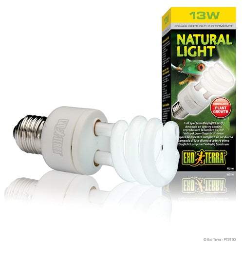 Exo Terra - Ampoule Fluocompacte Natural Light - Éclairage pour Terrariums