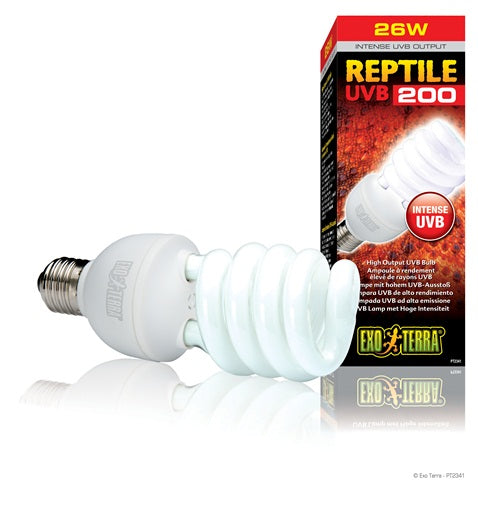 Exo Terra - Ampoule Fluocompacte Reptile UVB200 - Éclairage pour Terrariums