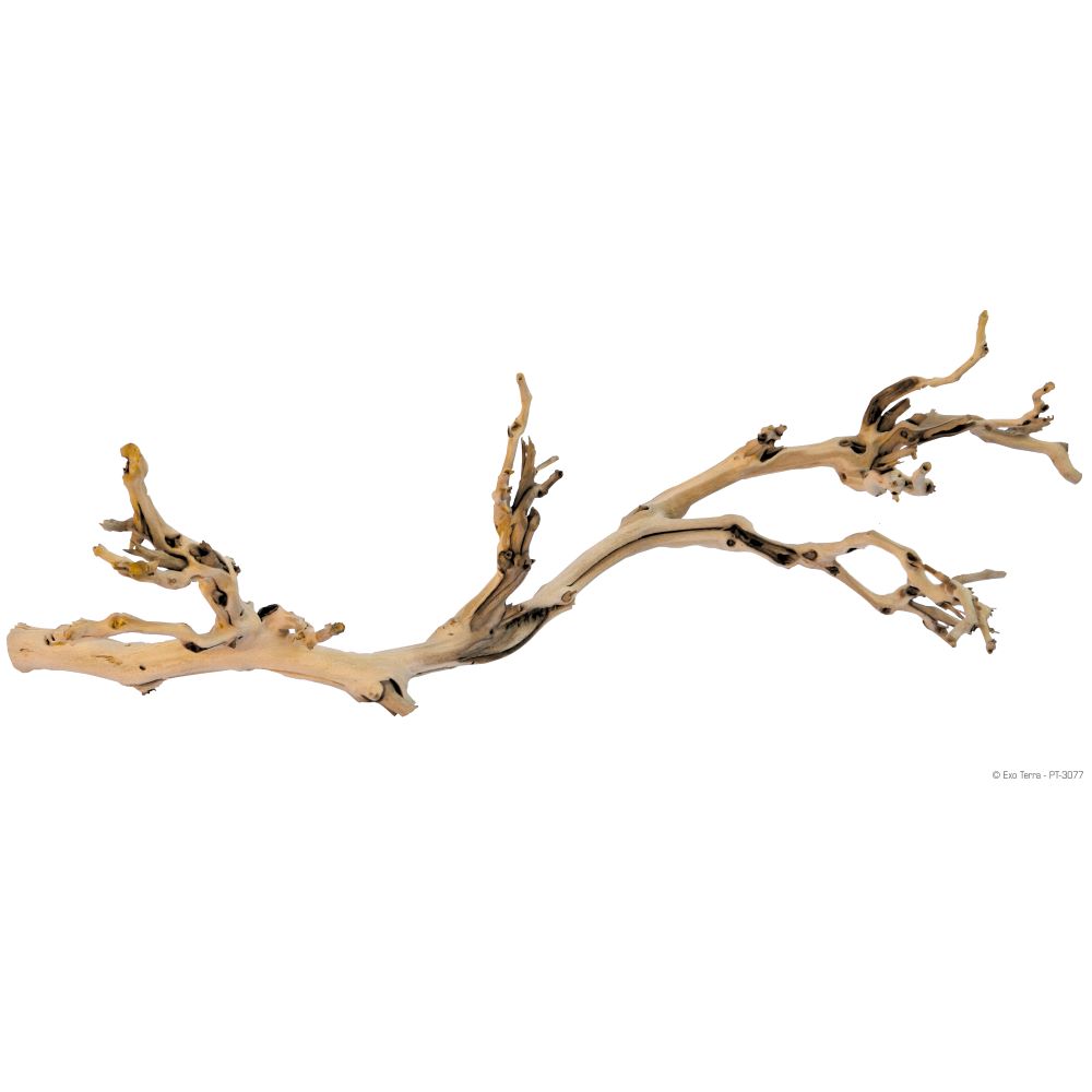 Exo Terra - Branche de Vigne Sablée - Décoration pour Terrariums