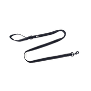 CHIEN BLANC Laisse Bungee 60