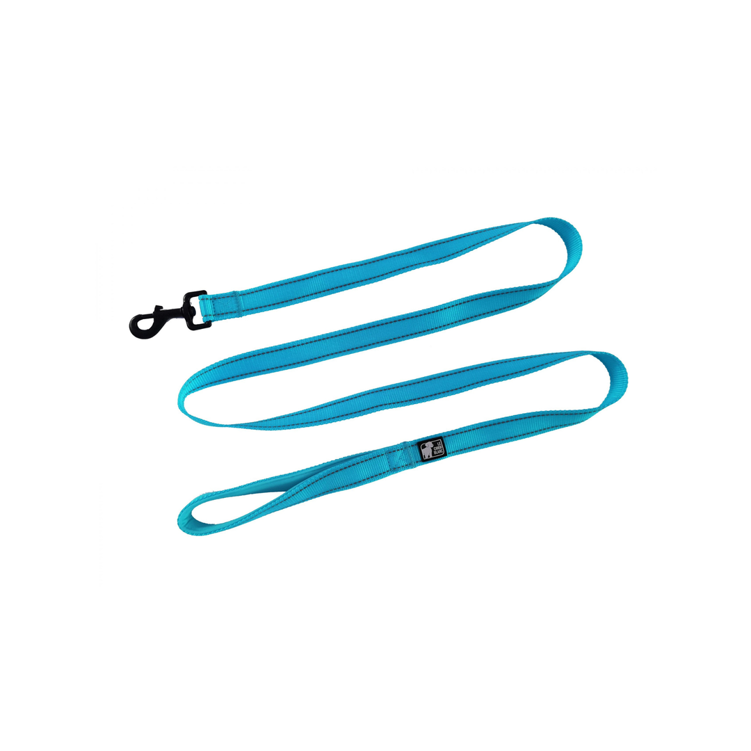 CHIEN BLANC EASY Laisse 6' Bleu