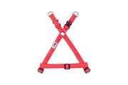 RCP Harnais Base Step-In Base XL Rouge