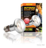 Exo Terra - Ampoule-Spot de Lézardage Intense - Éclairage pour Terrariums