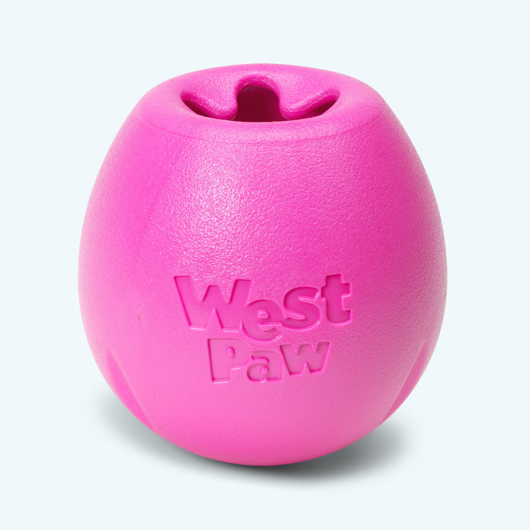 WEST PAW Jouet Chien Zogoflex Echo Rumbl Rose L