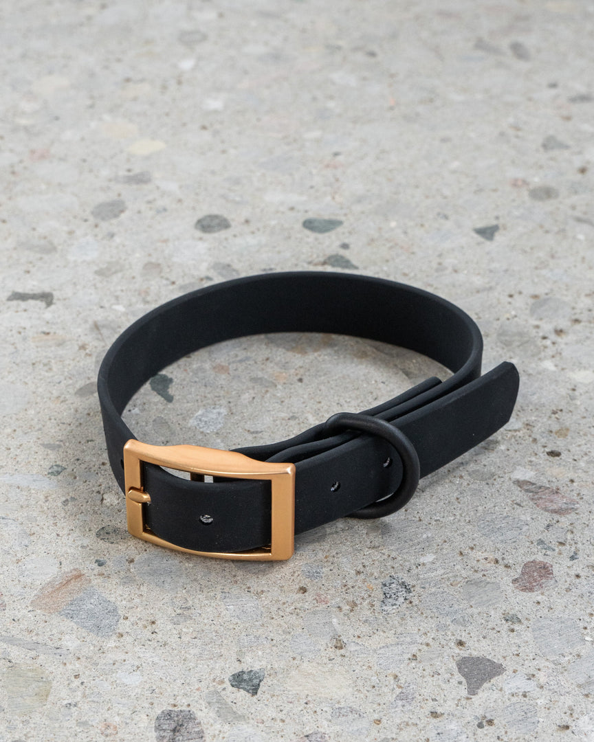 DEXYPAWS Collier Imperméable Noir L