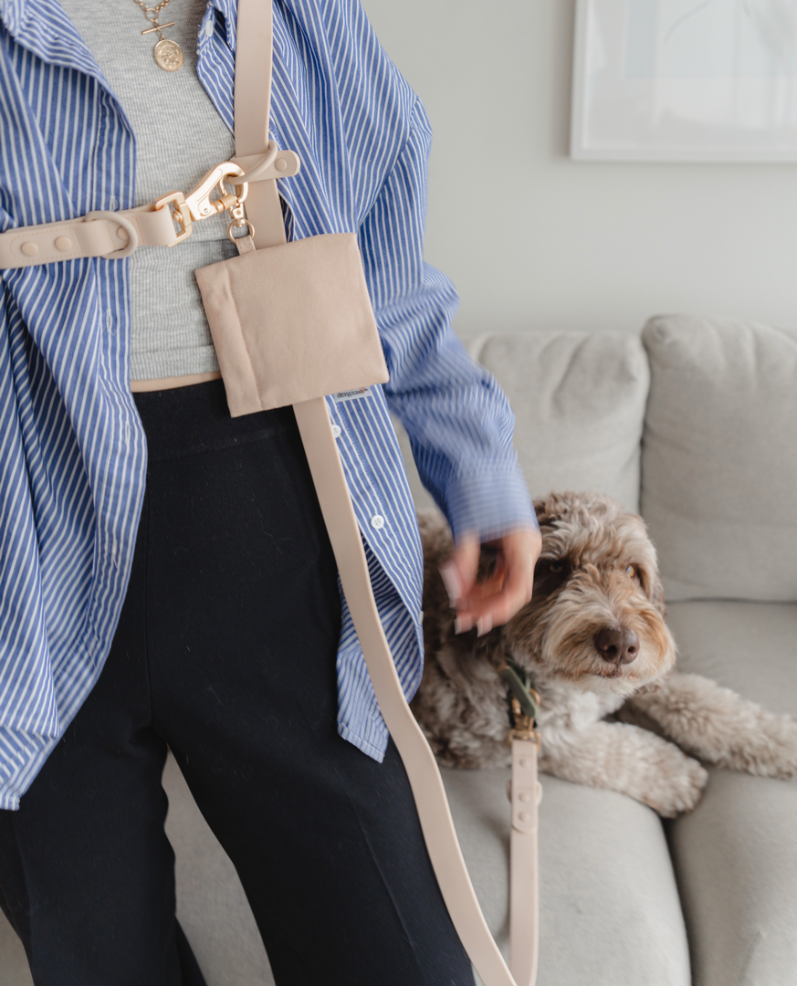 Dexypaws - Laisse Mains Libres Imperméable - Laisse pour Chiens