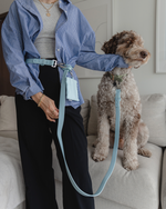 Voir l’image dans la galerie, Dexypaws - Laisse Mains Libres Imperméable - Laisse pour Chiens
