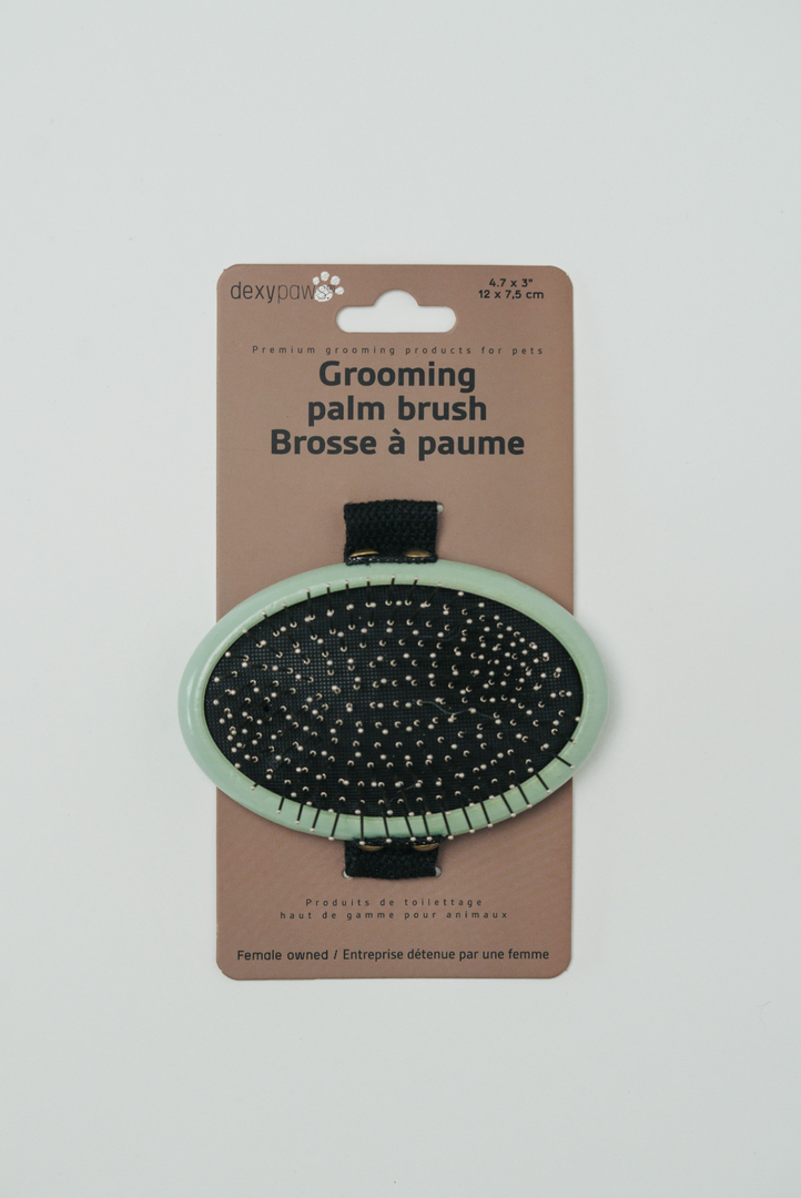 Dexypaws - Brosse à Paume - Brosse pour Chiens et Chats