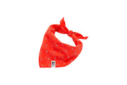 RCP Bandana Éclatant M/L Astro Baie de Goji