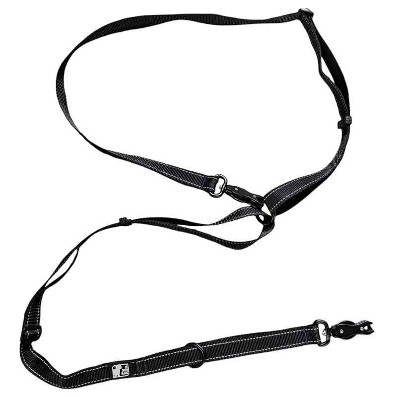 CHIEN BLANC STORM Laisse Multi-Usage XL
