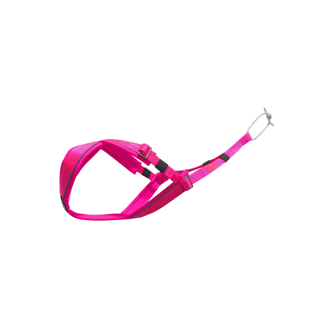 CHIEN BLANC Sport Harnais Traction Rose 2XS