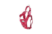 RCP Harnais Anti-Traction Tempo XS Azalée Chinée