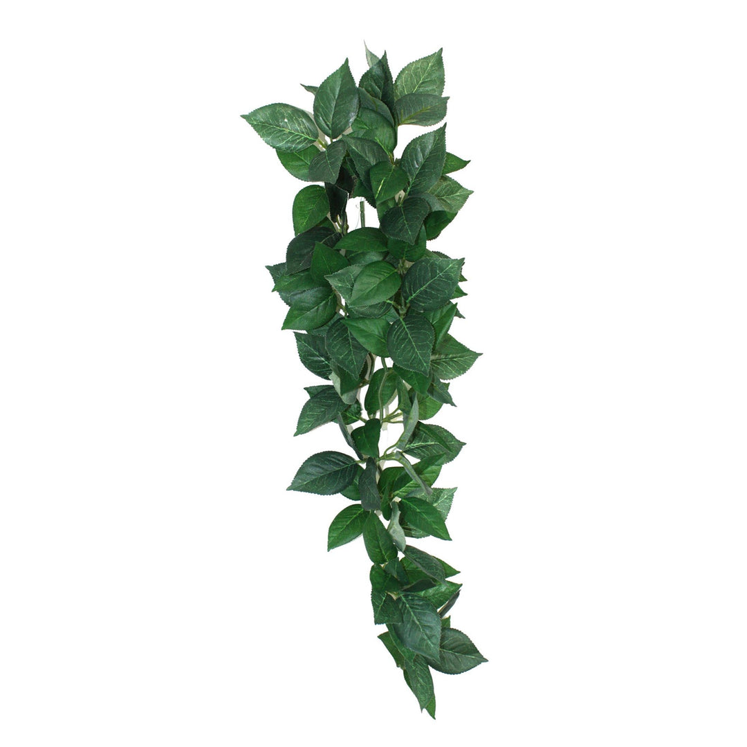 KOMODO Plante Suspendue Sumatra 13cm pour Reptiles