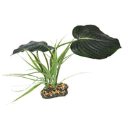 *KOMODO Couvert Forestier 42cm pour Reptiles