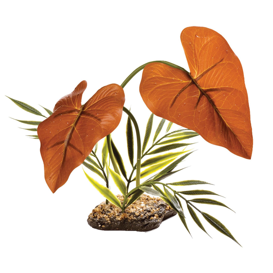 *KOMODO Couvert Forêt Tropicale 38cm pour Reptiles