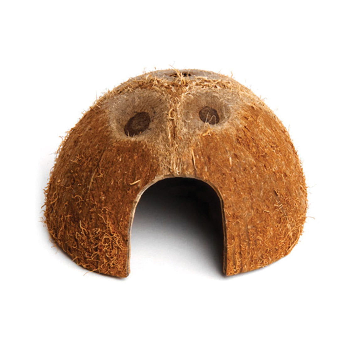 KOMODO Abri en Noix de Coco pour Reptiles