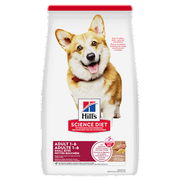 Hill's Science Diet - Petites Bouchées Agneau et Riz Brun - Nourriture Sèche pour Chiens Adultes 1-6 Ans