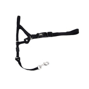 COASTAL WALK'N TRAIN Licol Nylon #4 XL Noir