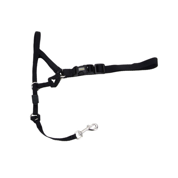 COASTAL WALK'N TRAIN Licol Nylon #1 S Noir