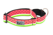 RCP Collier Dressage Sangle Motif L Melon d'Eau