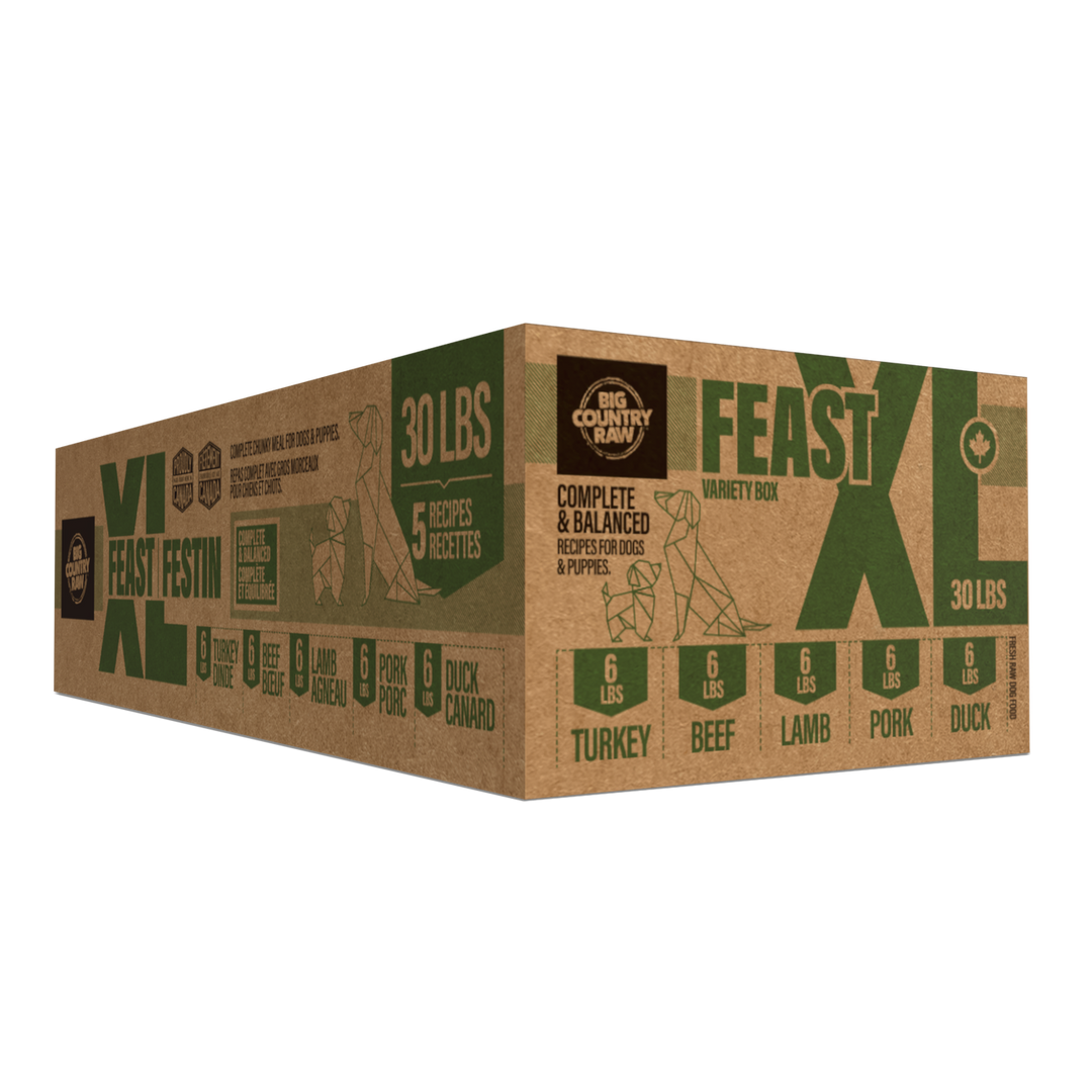 Big Country Raw - Recette XL Festin - Nourriture Crue Congelée pour Chiens de Grandes Races