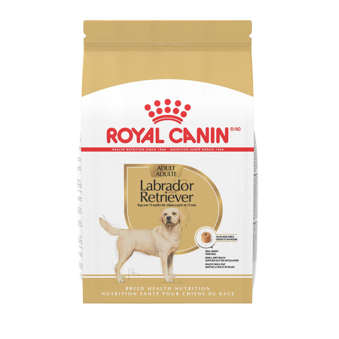 Royal Canin - Chien Adulte Labrador Retriever - Nourriture Sèche pour Chiens