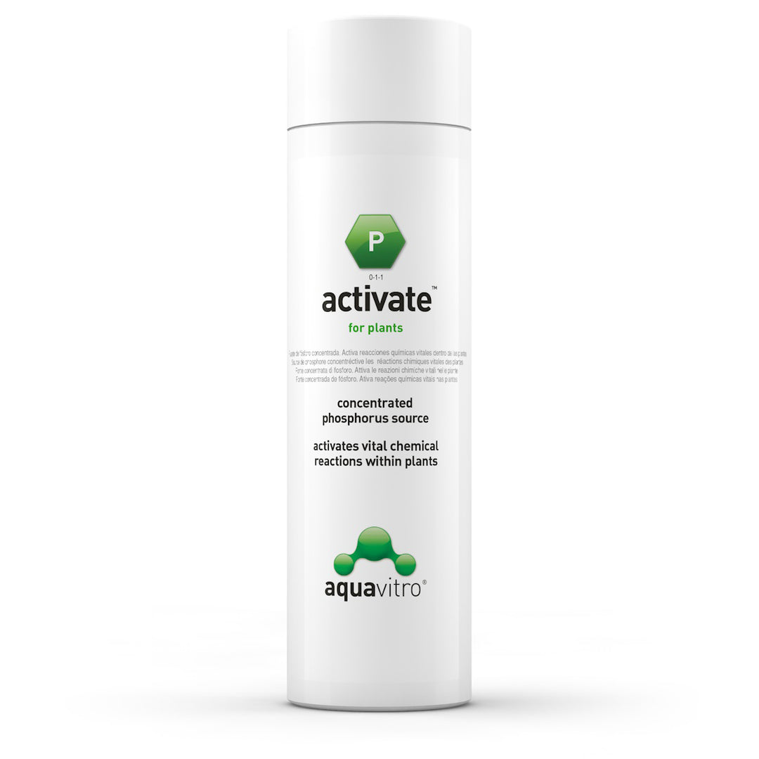 SEACHEM AquaVitro Activate 350ml pour Aquarium
