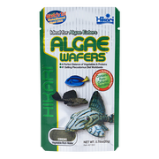 HIKARI Nourriture Algae Wafers 0.70oz