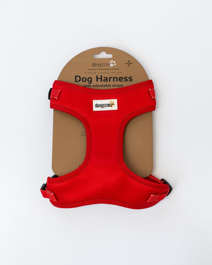 Dexypaws - Harnais en Néoprène - Harnais pour Chiens