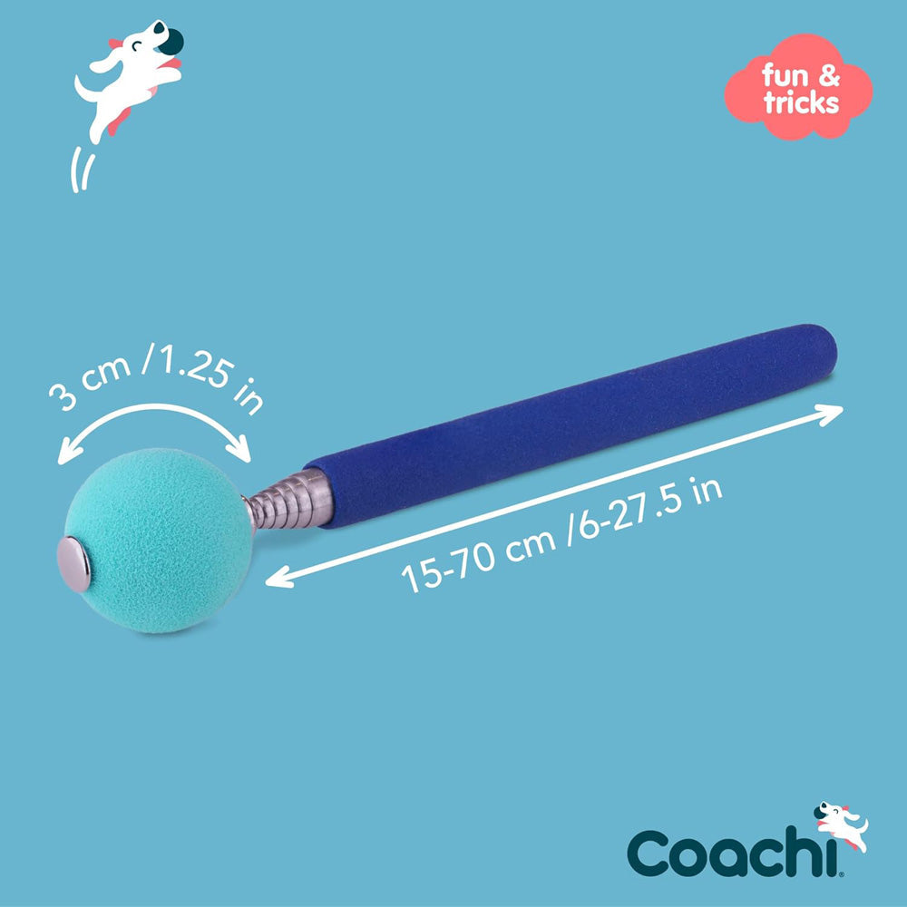 Coachi - Bâton Cible - Accessoire de Dressage pour Chiens